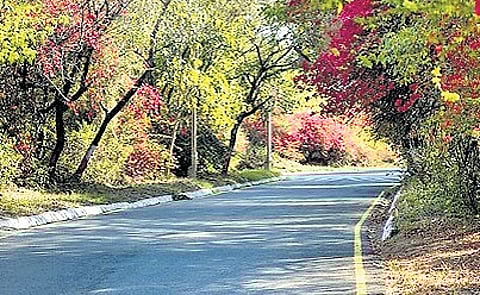 many high-pollution zones — including dense residential and industrial areas — remain unmonitored.