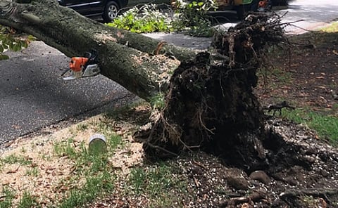 Extreme weather continues to pose a major obstacle to the ongoing anti-Maoist operations in Saranda.