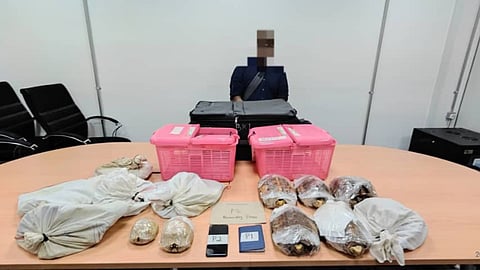 The value of the seizure in the case is estimated at RM13,000.00, which is around Rs 2.65 lakh, in the illegal exotic species market.