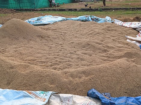 Koraput collector directed officials to ensure fair dealings with farmers during the procurement process and arrange proper infrastructure at the marketing yards to protect paddy stocks