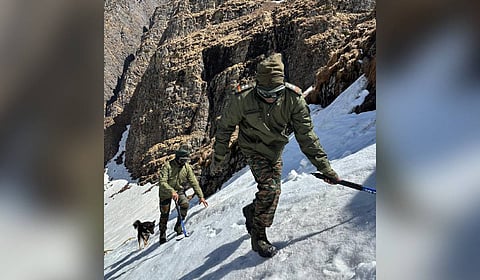 Efforts are underway to clear the snow and ensure the pilgrims' safety