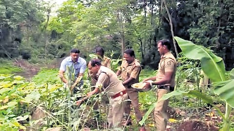 Eldho and colleagues engage in organic farming