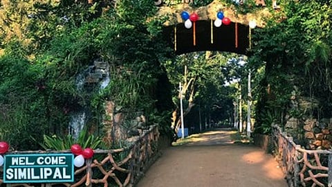 Similipal Tiger Reserve.