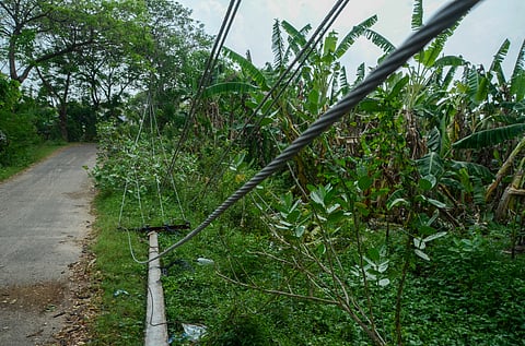 Due to strong winds, several EB (Electricity Board) poles were uprooted and fell in Vellore village, Srivaikundam, Thoothukudi district, resulting in a prolonged power outage.