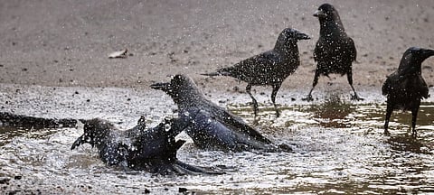 Image used for representation purposes only.