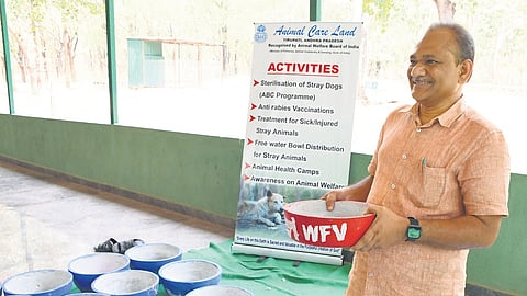 Free Water bowls supply during summer for stray dogs and birds water feeding, an ngo supporting the volunteers for this programme