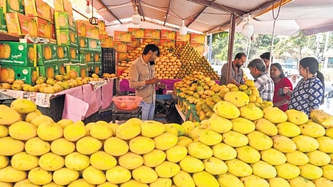 Sellers arrange mangoes at Jayamahal Main Road in Bengaluru
