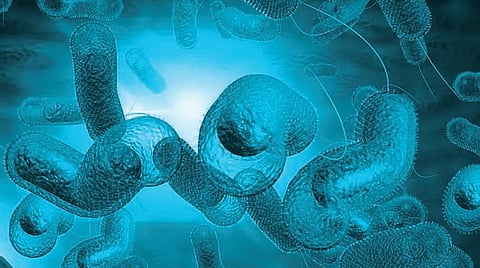 Kerala reports first Cholera death in 2025