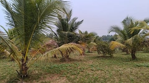 Image used for representative purpose.