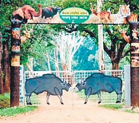 After years of efforts in Jharkhand, Jaigir becomes 1st PTR village to be relocated