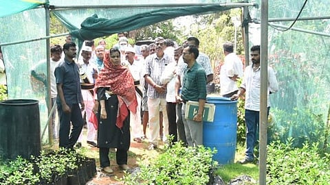 The district collector Thameem Ansariya visited several Nature Farming crop fields, Plant Nurseries, Dairy Farms in Kothapatnam mandal limits on Wednesday.