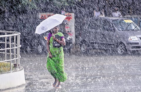 While Tirunelveli received 2.4 mm rainfall, Cheranmahadevi recorded a total of 10 mm of rainfall in 24 hours ending at 8 am on Saturday
