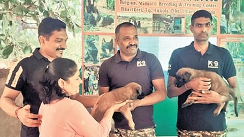 CRPF team with two puppies at Bavikere