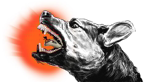 Image used for representational purposes only.