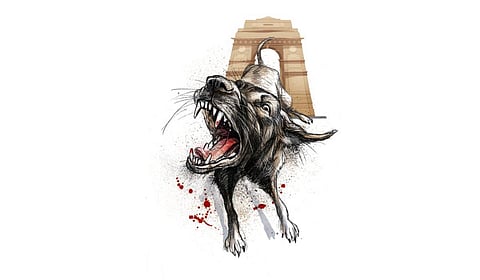 Woman let pet dog bite neighbour's daughter.