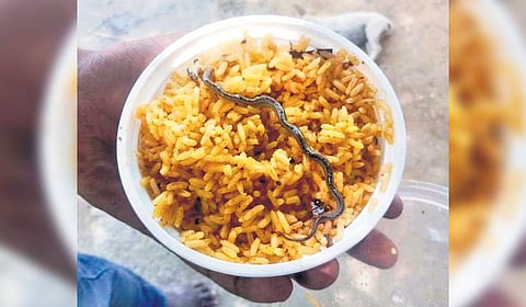 Snakelet-like reptile was found in tamarind rice.