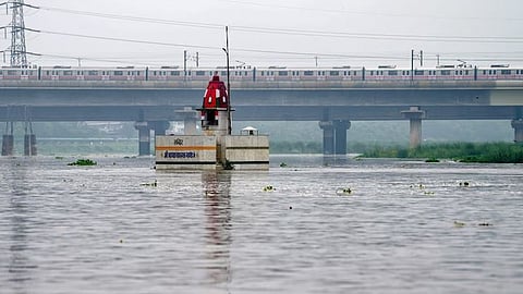 Yamuna cleaning.