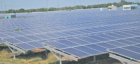 Ground-level solar power plant set up at Panjappur in Tiruchy