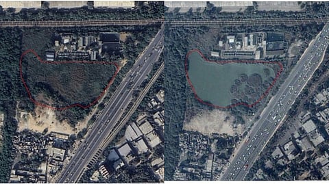 Satellite image shows the pond’s status in 2024 and 2012.