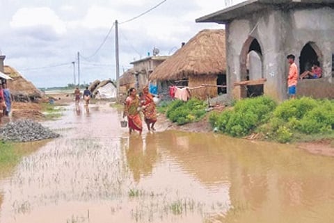 Bagapatia rehabilitation colony