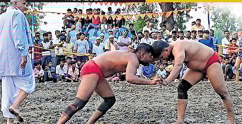 Love for the sport has survived many generations -- senior pehelwans teach specific skills to youngsters who are sent like warriors for kustis organised at village or town-level dangals during annual fairs.