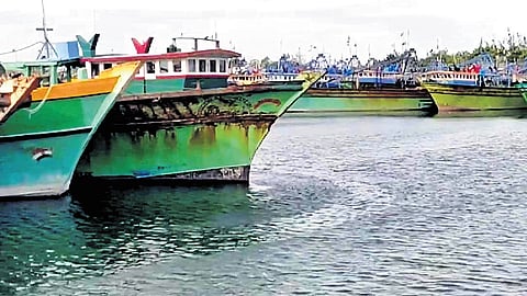 St Thomas Boat Union Secretary S Bibin told TNIE that after Easter on April 20, the mechanised boats from Thoothoor had ventured into deep sea fishing from Thengapattanam fishing harbour.