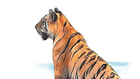 Image used for representational purposes only.