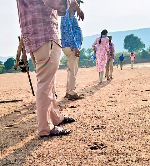 In a first-of-its-kind initiative, a night-long wildlife census is in progress in the Utnoor FDPT Division from 6 pm on Monday and it will continue till 6am on Tuesday.