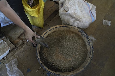 Displaced Palestinians purchase ground lentils as a substitute for making bread due to a shortage of flour in the Gaza Strip, in Khan Younis, on Sunday, May 11, 2025.