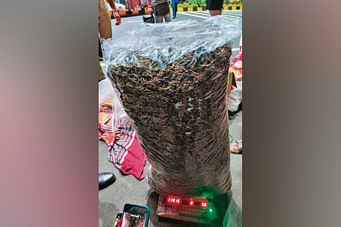 The seized ganja had been concealed inside 200 bicycle air pumps.