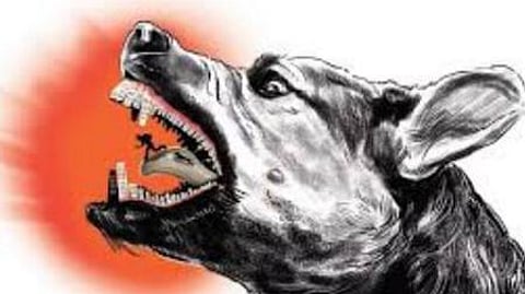 On Tuesday, as two others were severely injured, they were referred to the Virudhunagar Government Medical College Hospital.