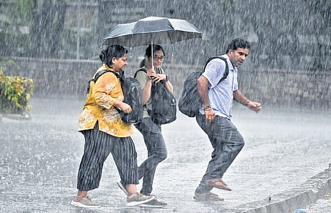 Due to the abrupt release of water, flood alert was issued in Dharmapuri, Krishnagiri and Thiruvannamalai districts.