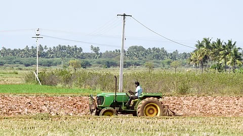 A farmer toiling in a field near Tiruchy.