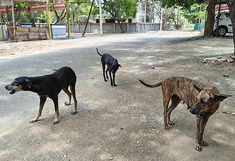 Image used for representational purpose only.