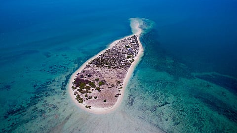 A view of the Kariyachalli Island, one of 21 islands in the Gulf of Mannar Marine National Park.