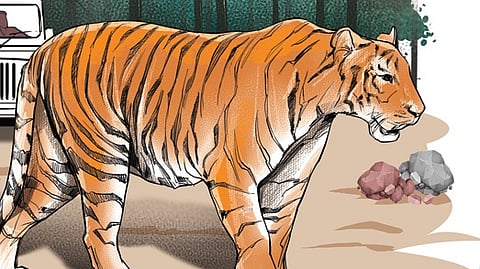 Kerala forest department has identified 273 panchayats as human-wildlife conflict zones of which 30 are hotspots.