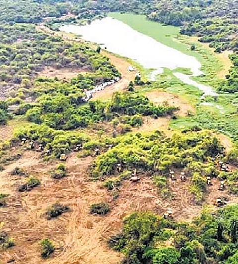 Kancha Gachibowli: Restore forest or
risk prison for top officials, SC warns Telangana
