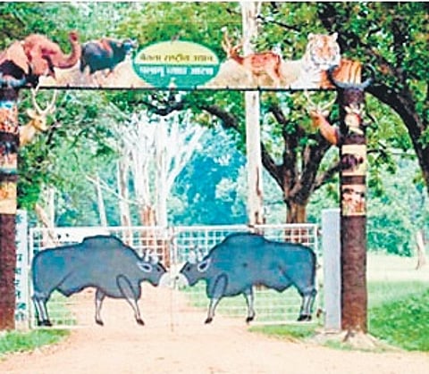 Decks cleared for relocation of seven villages in submerged area of Jharkhand