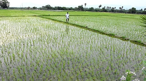 The project will cost Rs 12,600, with over 2 lakh tribal farmers set to receive benefits.