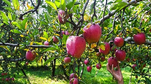 Representational image.