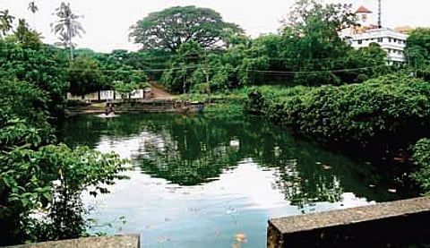 The site was identified for setting up Happiness Park in Angamaly. The chira (embankment/ pond) can be seen