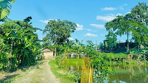 Banashree Hazarika, a postgraduate in banking and insurance from Rajiv Gandhi University, Arunachal Pradesh, left behind a promising banking career to chase a dream rooted in self-reliance, sustainability, and social impact.