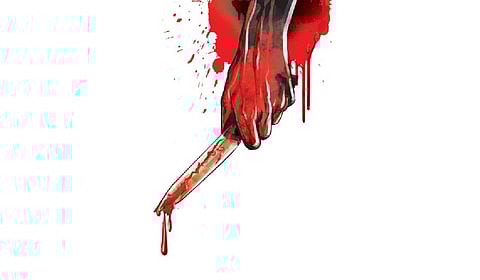 Image used for representation