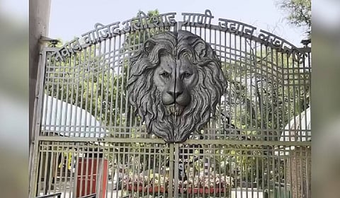Regular sanitisation is being carried out at both Kanpur and Gorakhpur zoos, and staff have been instructed to strictly follow all safety protocols.