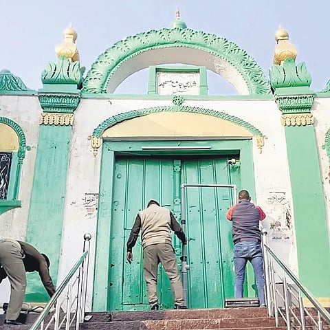 Sambhal mosque survey: HC rejects plea seeking to halt trial court proceedings