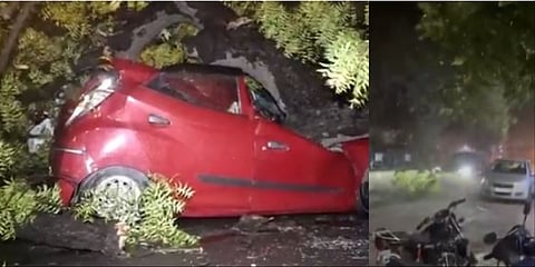 Trees were uprooted in several areas of Delhi, Noida and Ghaziabad. In some parts, the impact was severe enough to damage property and block roads.