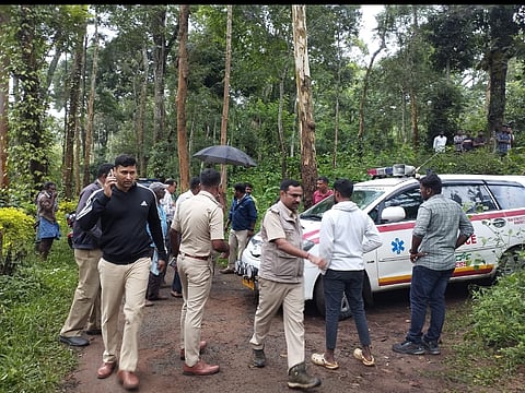 Extra precautions are being taken to ensure the elephant does not return to the forest fringes.