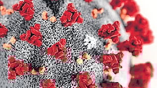 Karnataka reports nearly 70,000 cases annually, with breast, cervical, oral, lung, and colorectal cancers being the most common