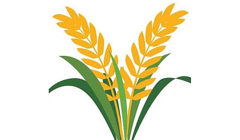 The minister said that this would enable the government to fully settle the payments for the paddy procured from farmers.