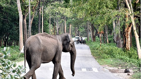 The Karnataka State Human Rights Commission (KSHRC) has taken suo motu cognisance of the issue.